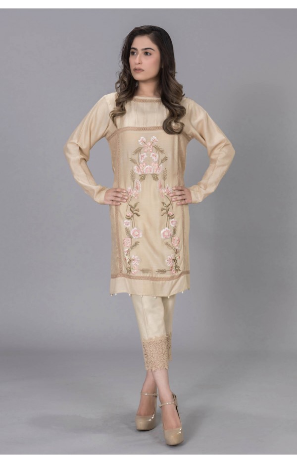 Beige Cotton Net with pastel front Embroidery
