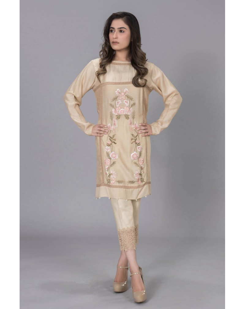 Beige Cotton Net with pastel front Embroidery