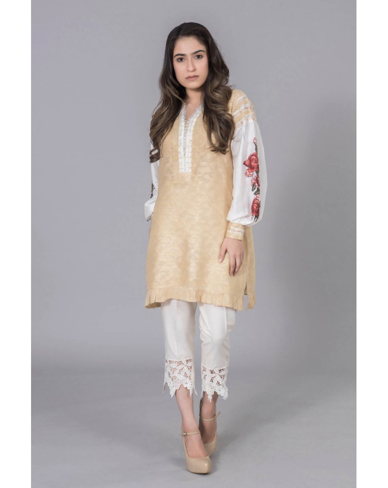 Beige Cotton Net with Floral sleeves embroidery